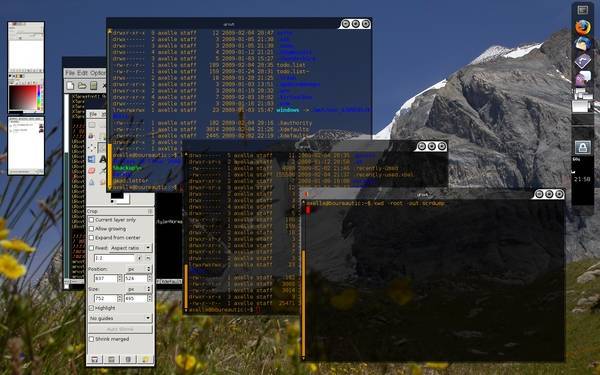 fvwm-screenshot.jpg